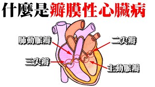 心臟衰竭，什麼是心臟瓣膜疾病｜許原彰醫師：高雄宇成診所