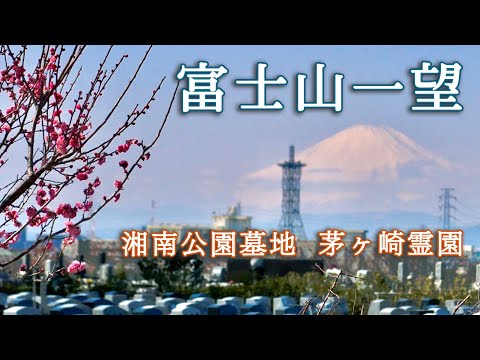 【富士山一望】湘南公園墓地 茅ヶ崎霊園は開放感のある墓園です