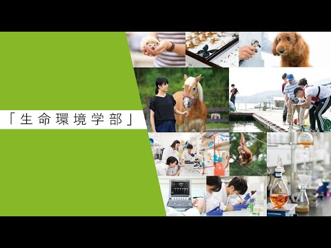 学部紹介MOVIE 生命環境学部