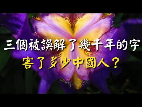 這三個被誤解了幾千年的字，害了多少中國人？看完煥然大悟！