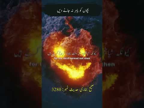 nabi Kareem ka farman/ hadees #shortvideo#viralvideo #FactMakkahallah