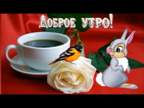 С Добрым Утром и Хорошим днём! Музыкальная открытка!