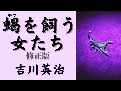 【聴く時代劇　朗読】110『修正版』吉川英治「蝎を飼う女たち」