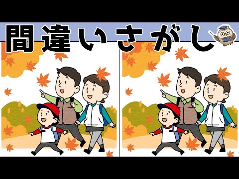 【間違い探しゲーム】おすすめ！老化予防に最適な脳トレ動画【頭の体操】