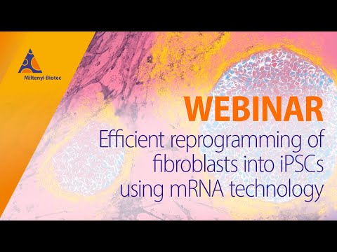 Efficient reprogramming of fibroblasts into iPSCs using mRNA technology [WEBINAR]