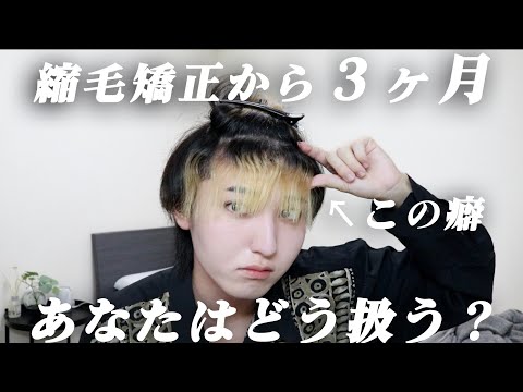 【癖毛必見】縮毛矯正から３ヶ月経って超扱いずらくなった髪を綺麗にセットする方法！