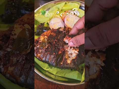 ആവോലി fry #2024 #youtubeshorts #fishfryrecipe