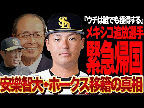 安樂智大がホークスに電撃移籍が決定的か…メキシコ追放選手が緊急帰国する真相に驚きを隠せない！ホークスフロントが『積極的に交渉する』と明言、来季日本一を獲る為の驚きの補強が…【プロ野球】