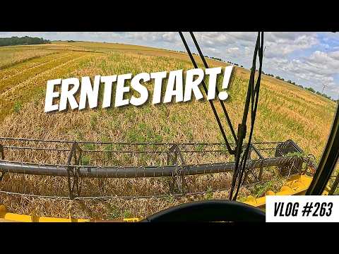 Vlog #263 Harvest start 2024? What are the yields?