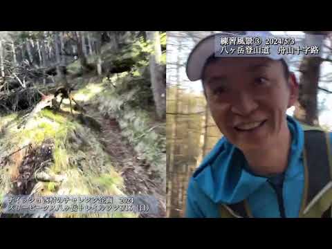 八ヶ岳登山道「舟山十字路」にてトレラン練習③  トレラン大会 初参加への道