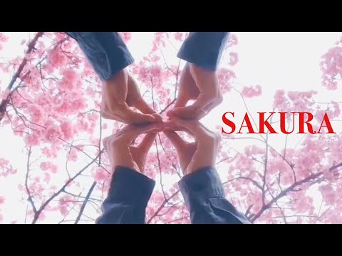 SAKURA