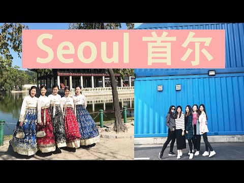 [ Travel Vlog ] Jeju Island Fly to Seoul 济州岛飞首尔