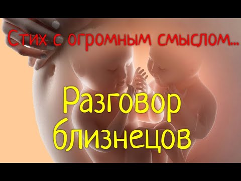 Разговор близнецов...(Очень глубокий стих с огромным смыслом!!!)