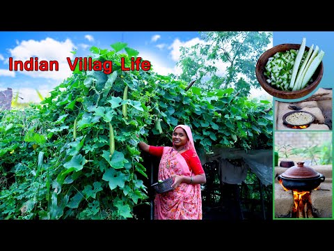 Healthy Food Cooking In Village | Sponge Gourd Recipe | Traditional Life In India