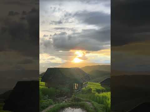 Beautiful Nature View #nature #naturelovers #naturevideo  #natureview #village #naturevillage#travel