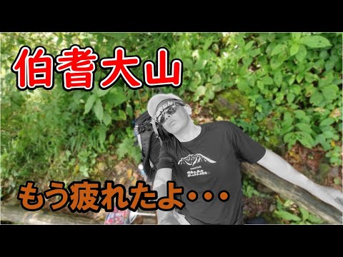 もうボク疲れたよ【伯耆大山・夏山登山道】