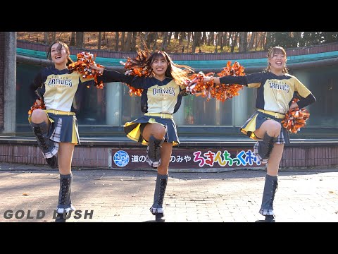 朝陽で髪が金色に・・GOLD LUSH CHEER PERFORMANCE 2024 WINTER　ゴールドラッシュ　チア・パフォーマンス・ステージ 2024冬