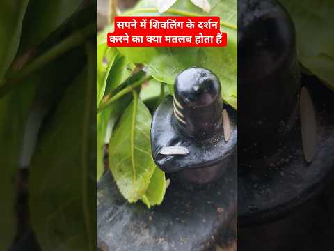 सपने में शिवलिंग दिखे तो क्या होता है #shortvideo #shivling #pandit_pradeep_ji_mishra