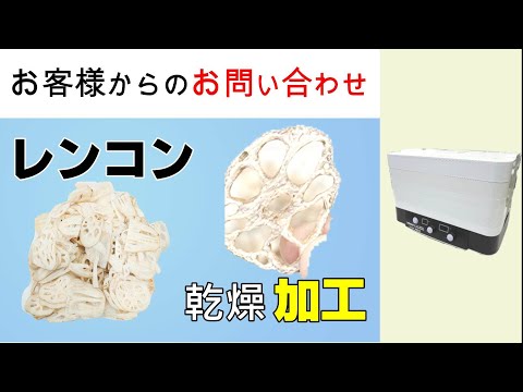 レンコンの乾燥を行える機械を探している【お問い合わせ】