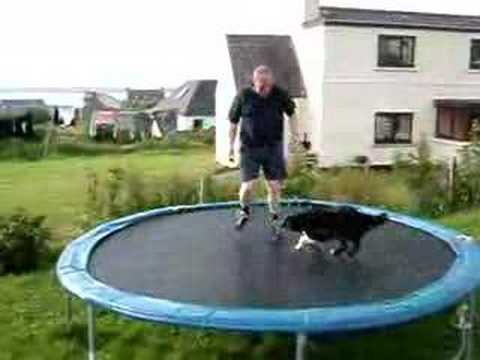 Trampoline star