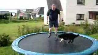 Trampoline star