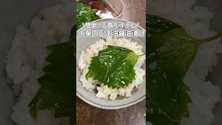 簡単！ご飯が進む🍚大葉のごま油醤油漬け #簡単レシピ #料理動画 #家庭料理 #大葉