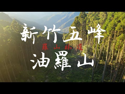 Don't Waste My Time - Dayon丨新竹縣五峰鄉丨油羅山丨羅山林道丨空拍丨Mavic Air 2