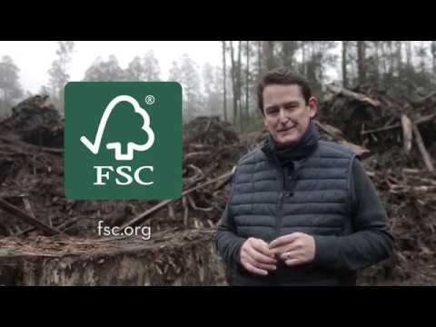 Why you should look for the FSC symbol on wood and paper products