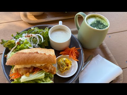 🚶‍♂️ Kimikura Dog Cafe and the Charm of Kakegawa, Japan - Walking in Japan