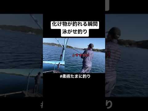 ヒットする瞬間が快感すぎる #海釣り #釣り #船釣り #釣り好き