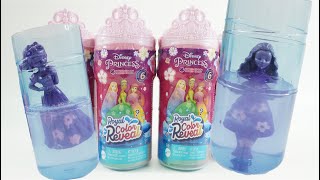 Disney Princess Dolls Royal Color Reveal with Water Garden Edition