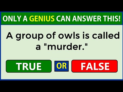 True or False Quiz | Only A Genius Can Score 100% #challenge 17