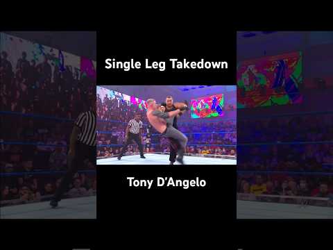 WWE: Single Leg Trip