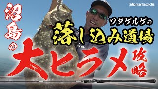 【落とし込み】兵庫･沼島でライトスタイルの落とし込み！青物・ヒラメ・根魚が狙える人気ジャンルを実釣解説！【盛漁丸】