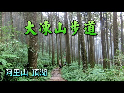 嘉義阿里山頂湖大凍山步道，如何輕鬆走，關鍵叉路很重要，與您分享。