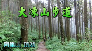 嘉義阿里山頂湖大凍山步道，如何輕鬆走，關鍵叉路很重要，與您分享。