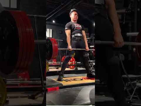 デッドリフト240kg × 4 #パワーリフティング #筋トレ #デッドリフト #トレーニング #shorts