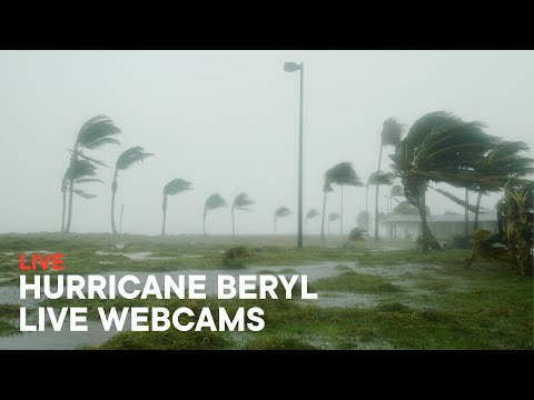 Hurricane Beryl 2024 Live Stream - Mexico Live Webcams