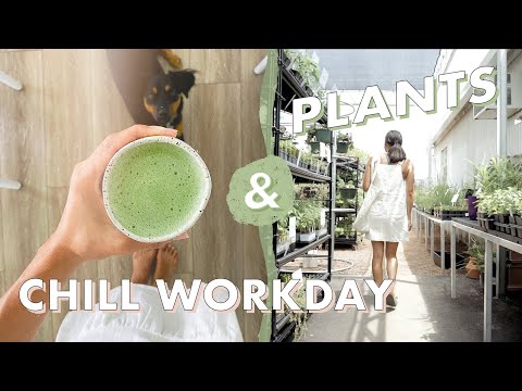 Chill Friday Vlog 🌱 / work, plants, & my organization golden rule