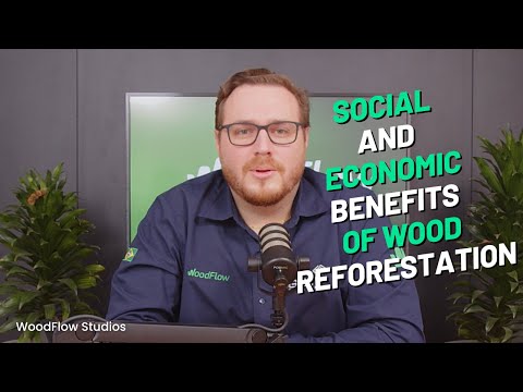 Social and Economic Benefits of Reforestation #WoodFlowStudios