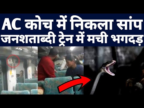 भोपाल से जबलपुर जा रही जनशताब्दी के AC कोच में निकला सांप ! Indian Railway Ac Coach Latest Update !