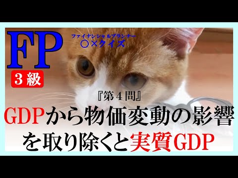 【FP３級】金融資産運用38　ファイにゃんシャルプランナー〇×クイズ。マルバツ。わかりやすい。高卒式だから安心。聴き流しでも勉強！#過去問#解説#猫#犬#知識アップ#うさぎ#NISA#fp2#fp3