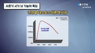 사춘기 시기 뇌 기능의 특징 / YTN 사이언스