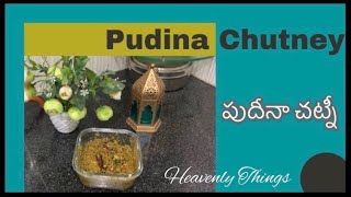 Pudina Chutney in Telugu |పుదీనా పచ్చడి ఇలాచేసుకోండి అన్నం లో అదిరిపోతుంది !   | Heavenly things