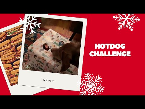 🌭 Enrichment Challenge #funnydogs #hotdogchallenge #christmas