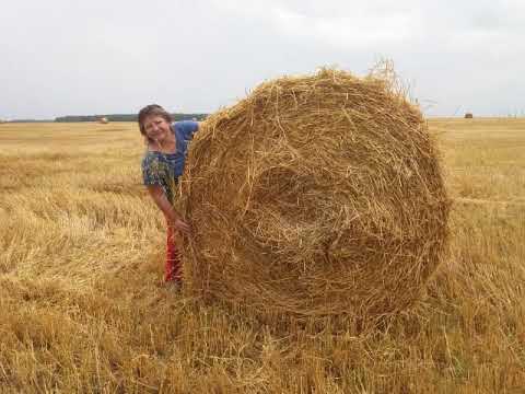 Русское поле!