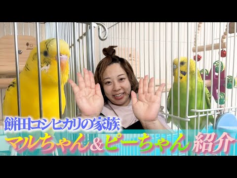 【家族紹介】溺愛するマルちゃん＆ピーちゃんを紹介します❤️