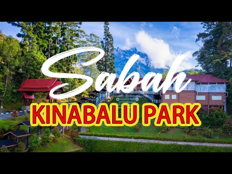 【Sabah Travel】Kinabalu Park 2022 | Kundasang | Walking Tour