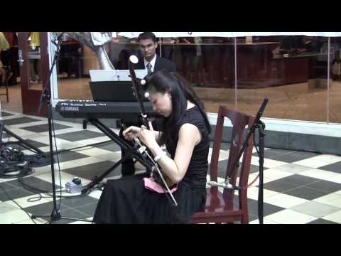 Xiojun Huo Performs Chinese Music at James E Walker Library - Middle Tennessee State University