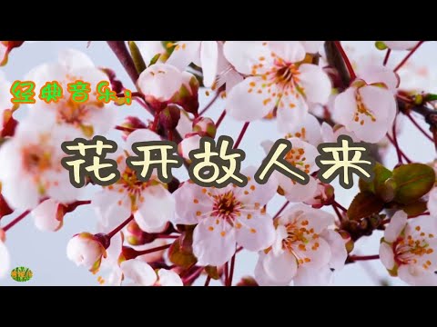 花开故人来 - 竹笛。经典音乐，演奏：董敏